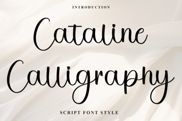 Evaluating Cataline Calligraphy for Holiday Design Projects